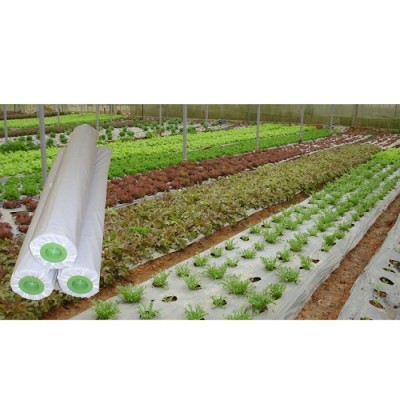 VN-Màng PE nông nghiệp